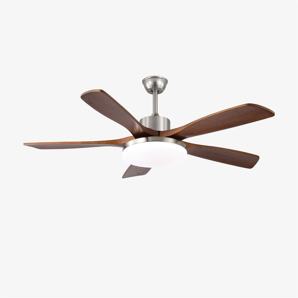 Lunet Ceiling Fan Light