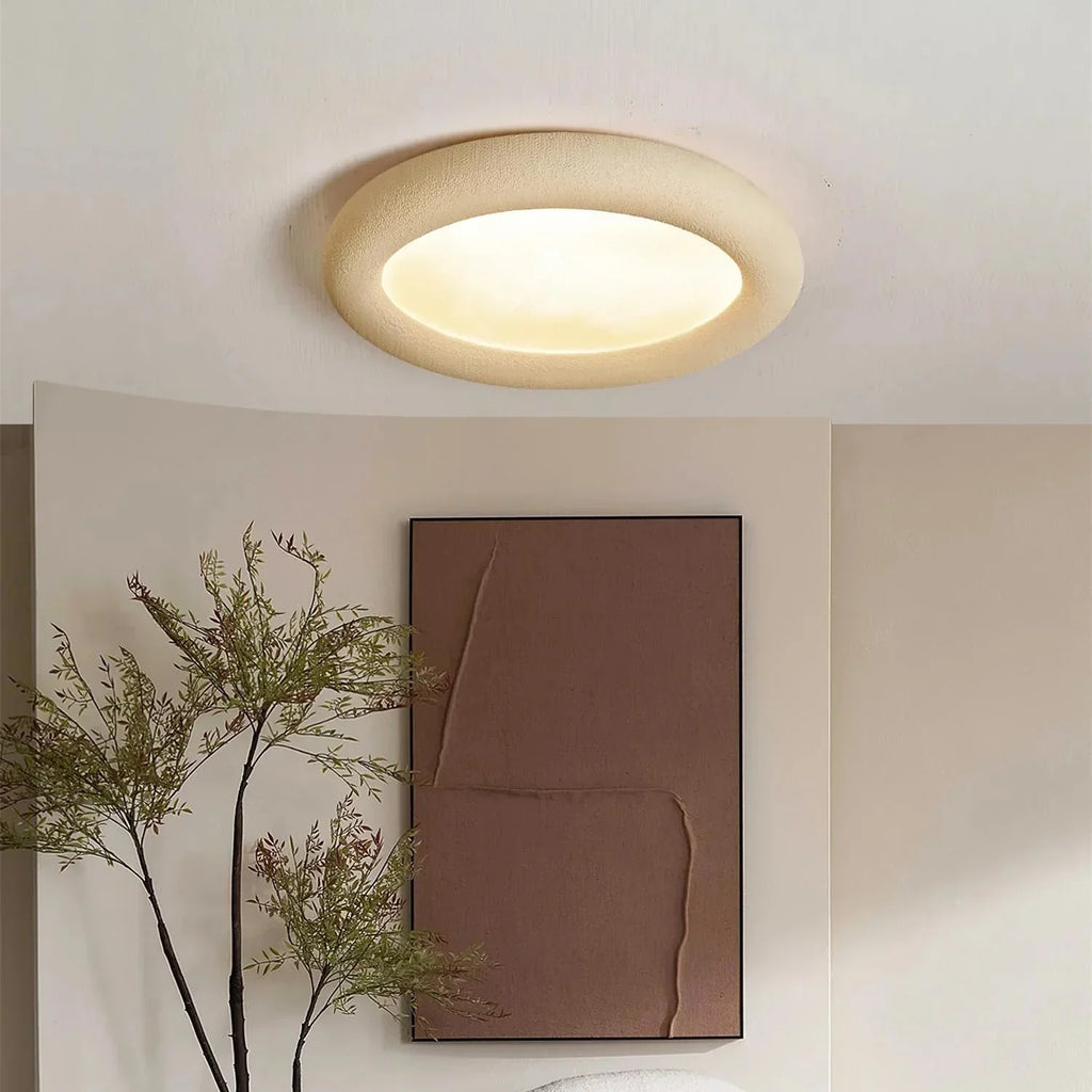 Concise Ceiling Light