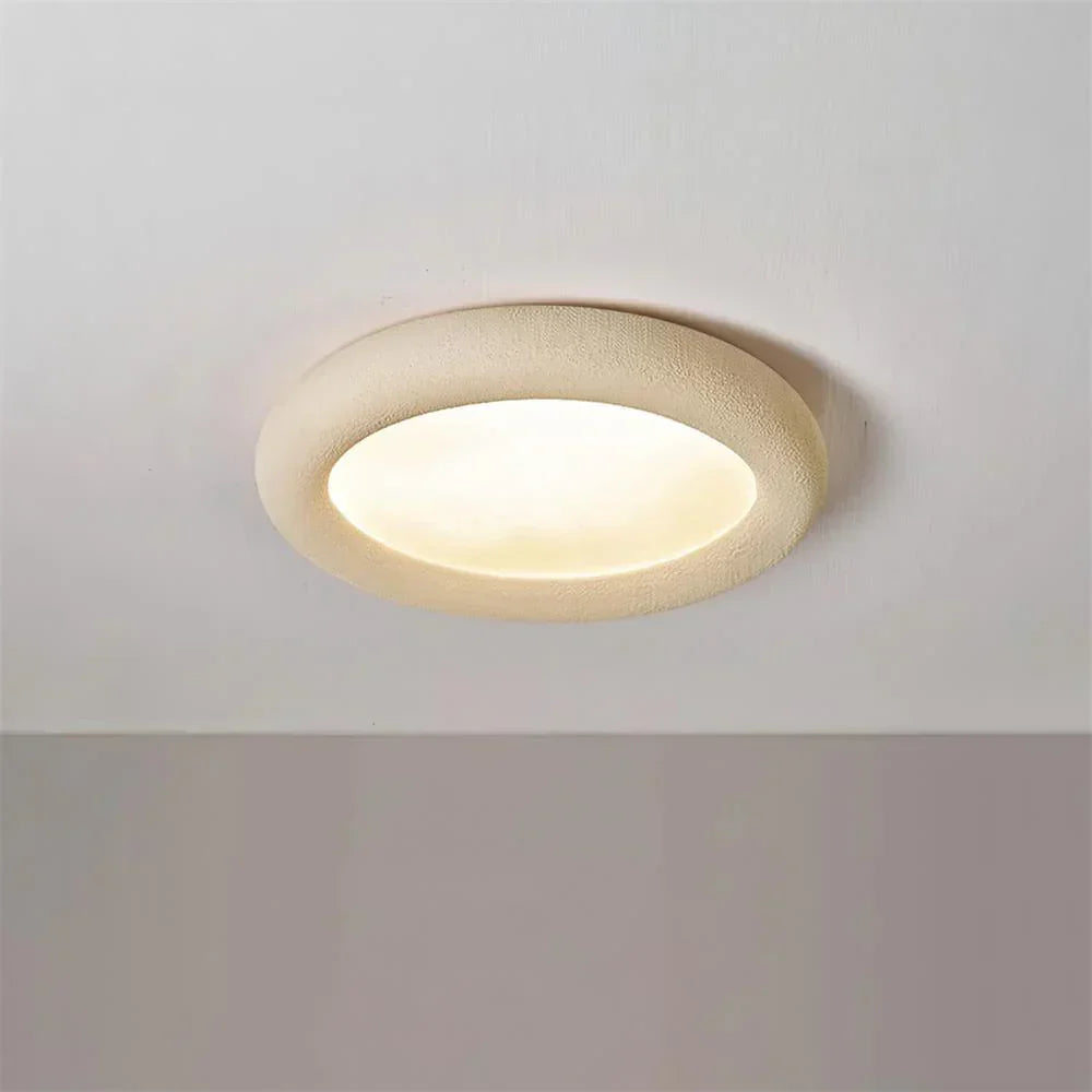 Concise Ceiling Light