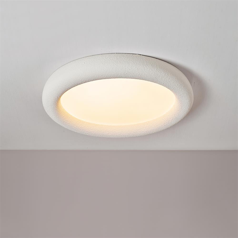 Concise Ceiling Light