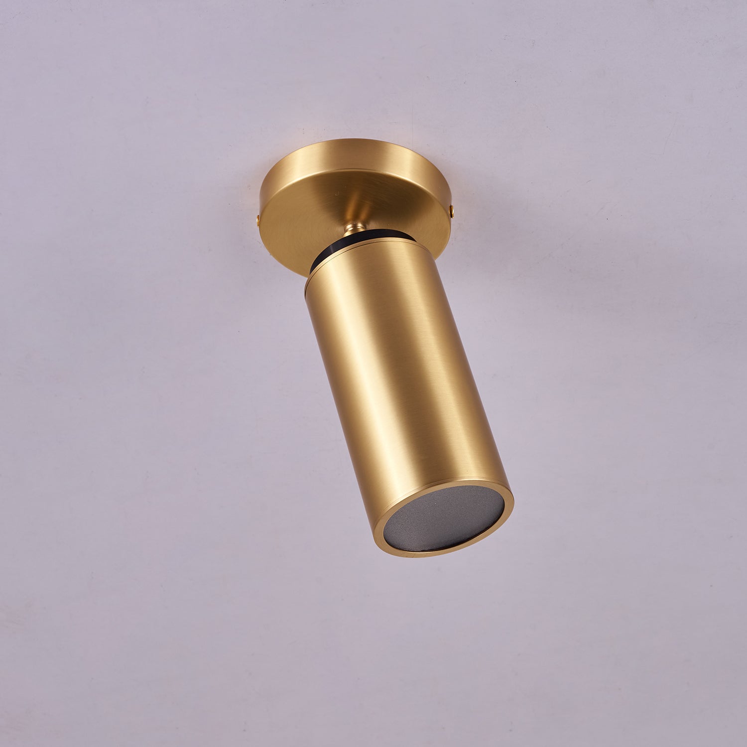 Horizon Brass Spot Light