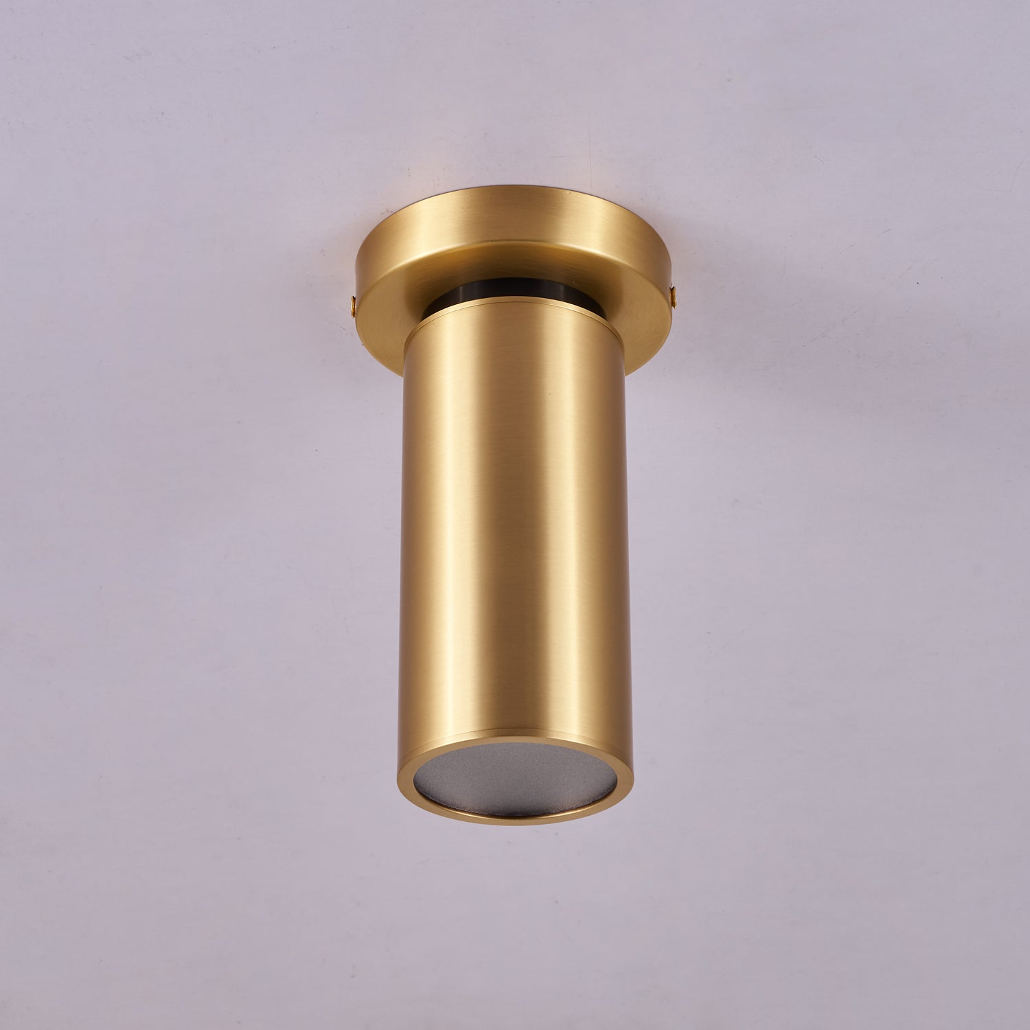 Horizon Brass Spot Light