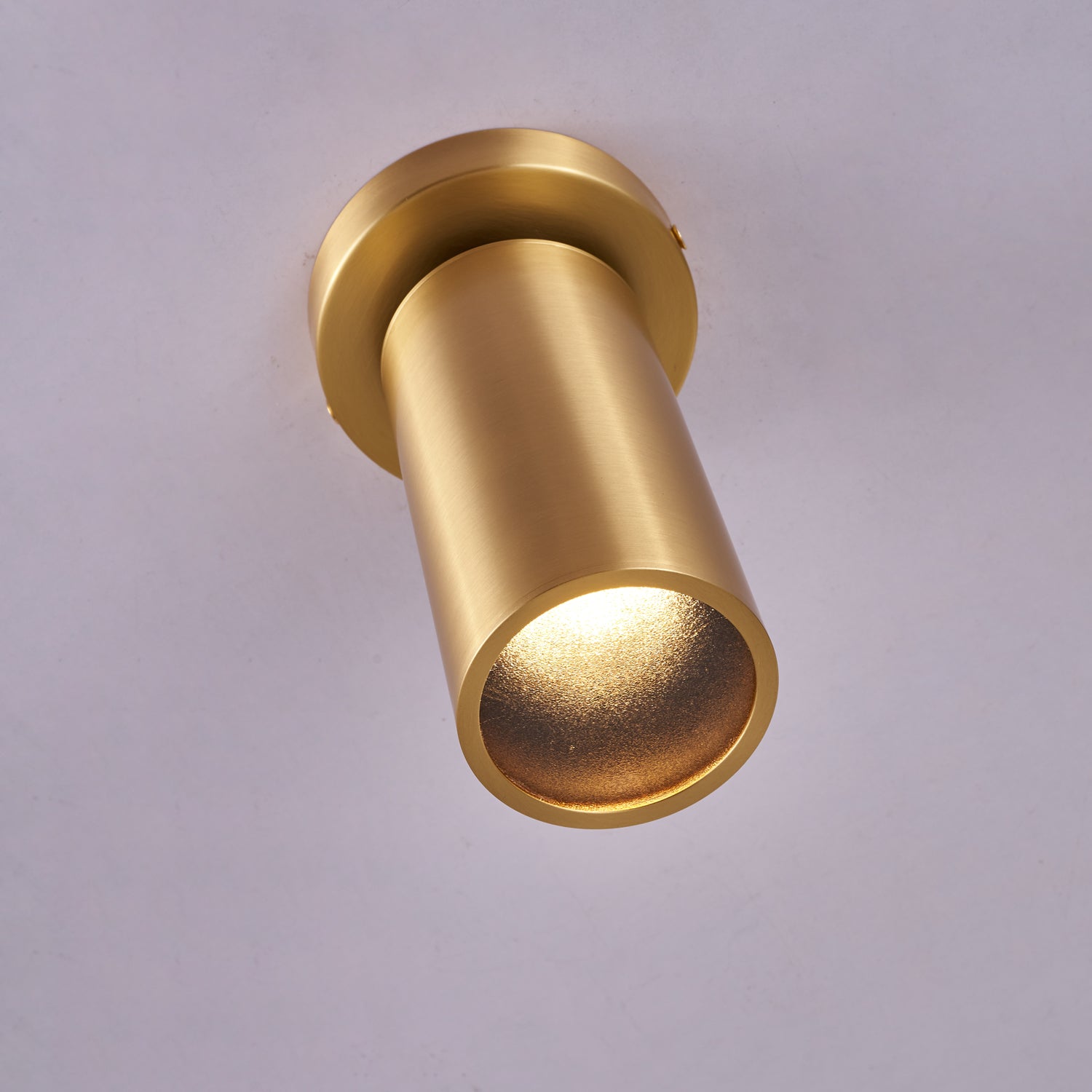 Horizon Brass Spot Light