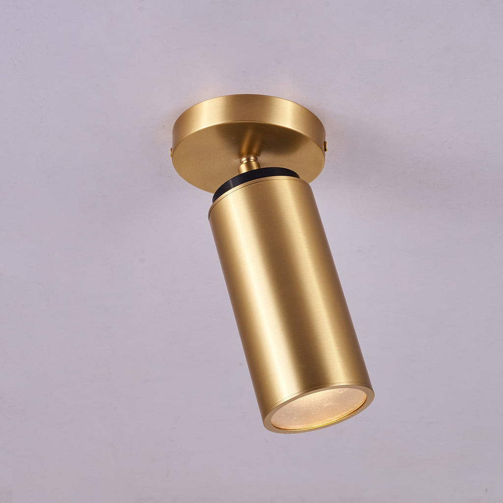 Horizon Brass Spot Light
