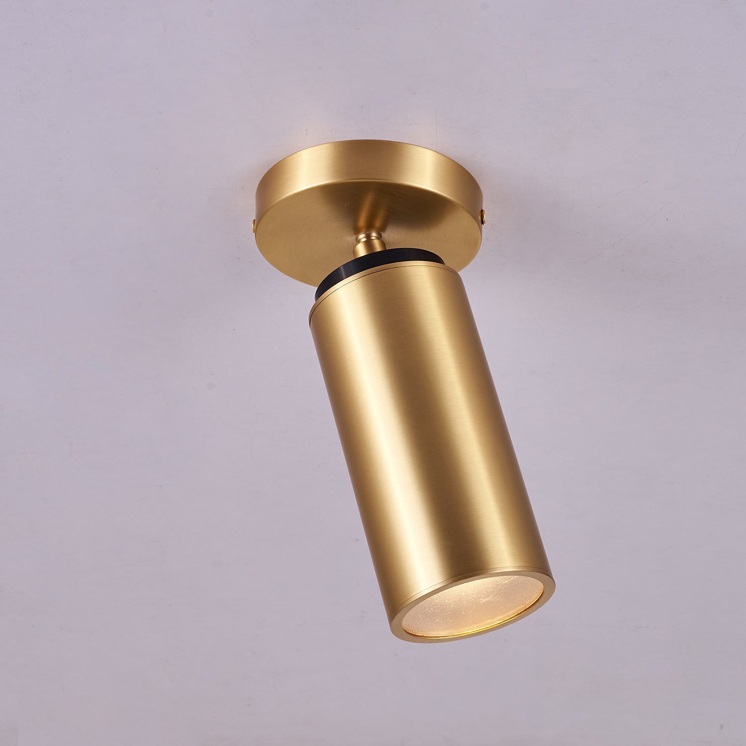 Horizon Brass Spot Light