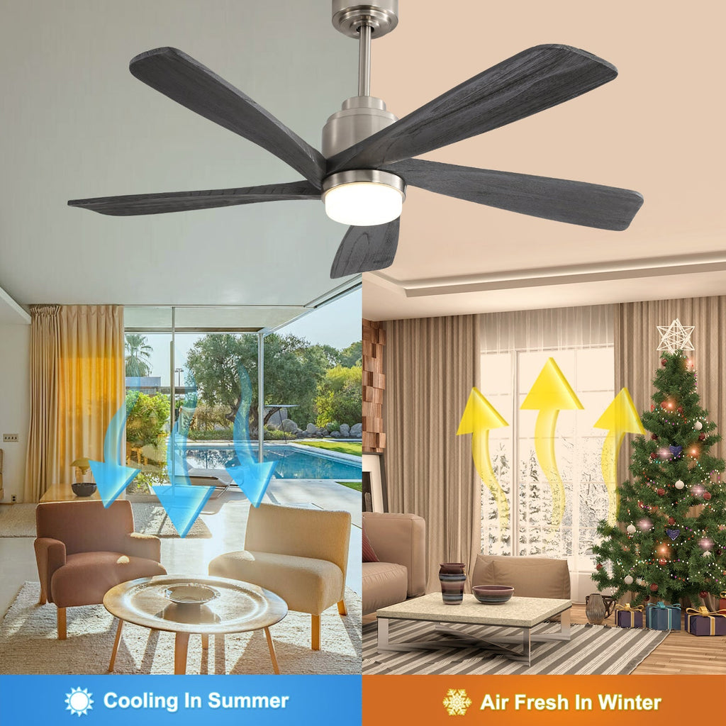 Aeris Modern Ceiling Fan Light
