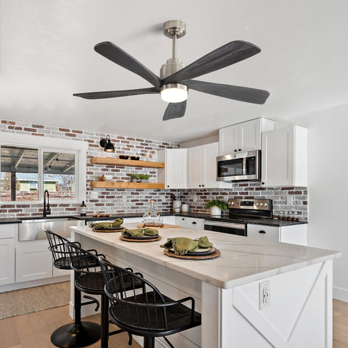 Aeris Modern Ceiling Fan Light