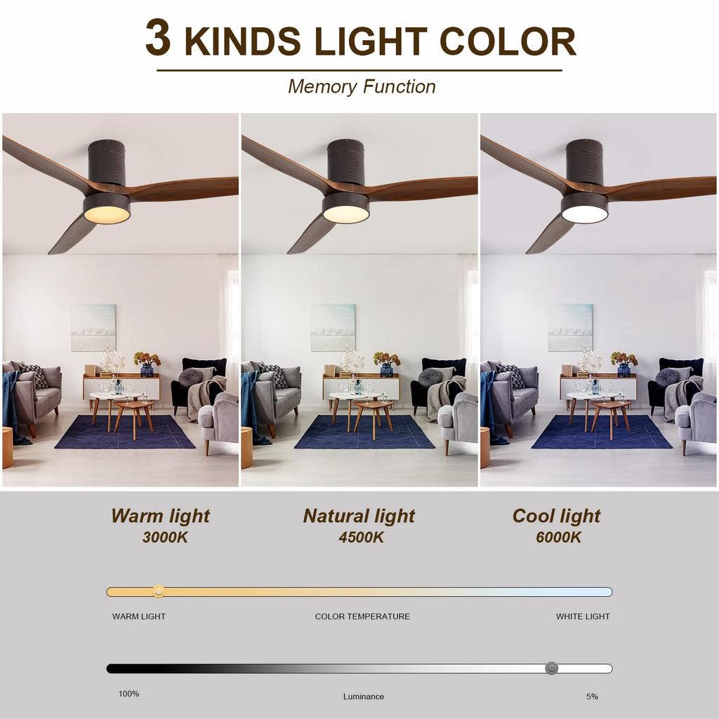 AeroLite Ceiling Fan Light