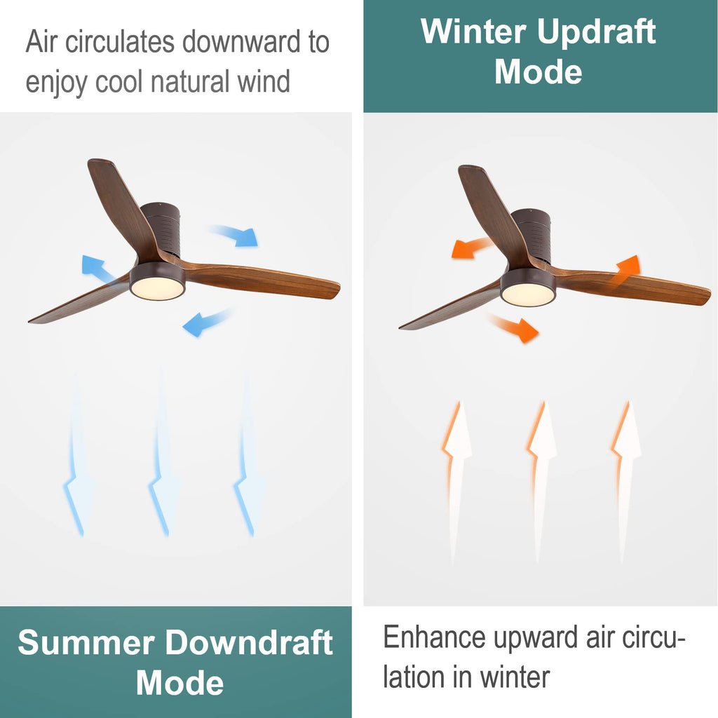 AeroLite Ceiling Fan Light