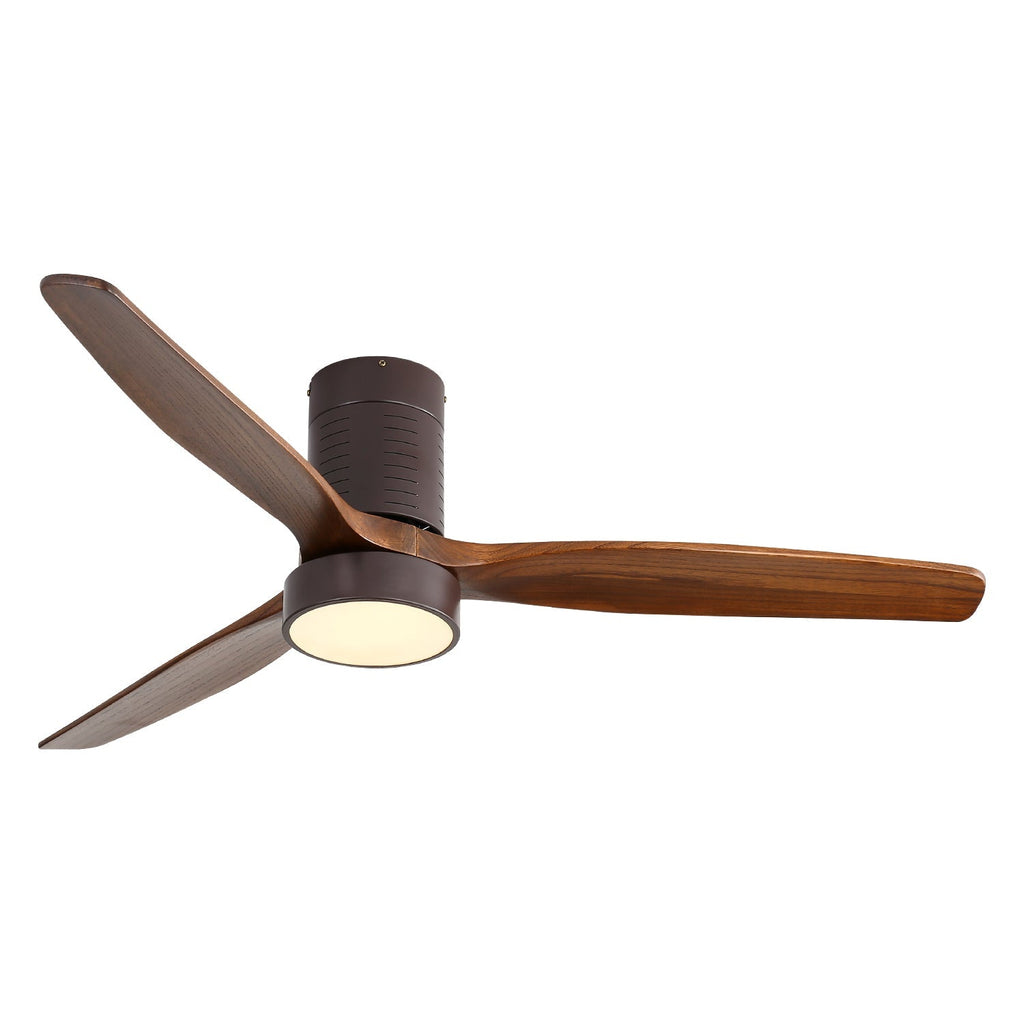 AeroLite Ceiling Fan Light