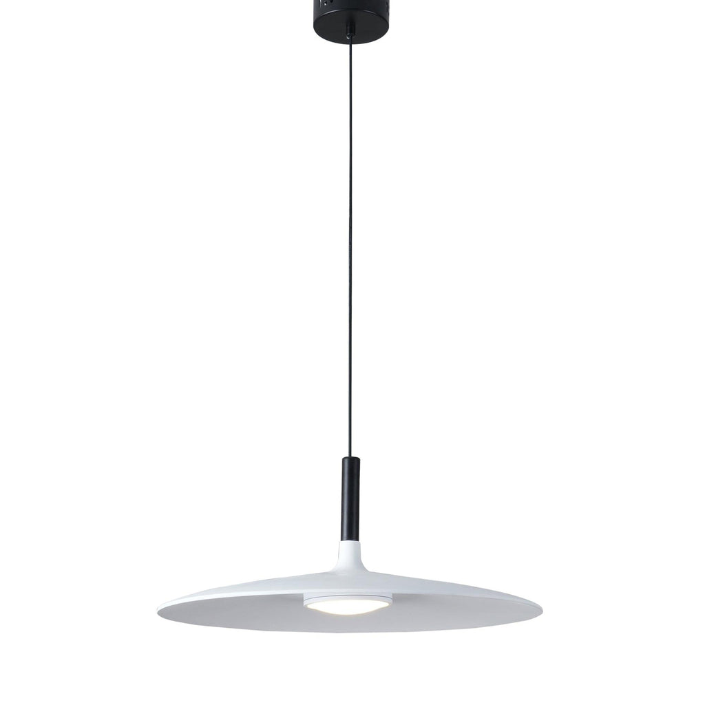 Aibaole metal Pendant Light - ZozHome