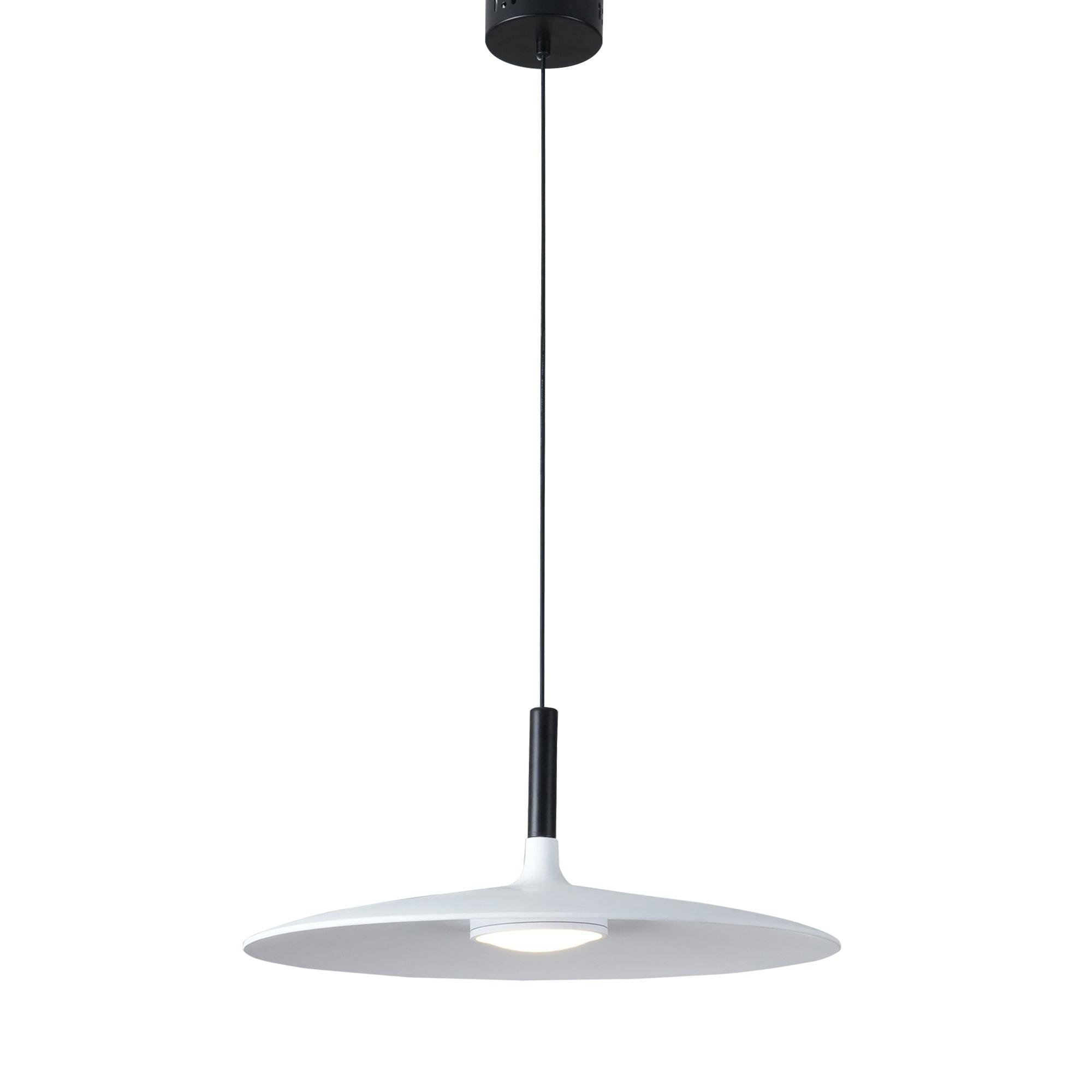 Aibaole metal Pendant Light - ZozHome