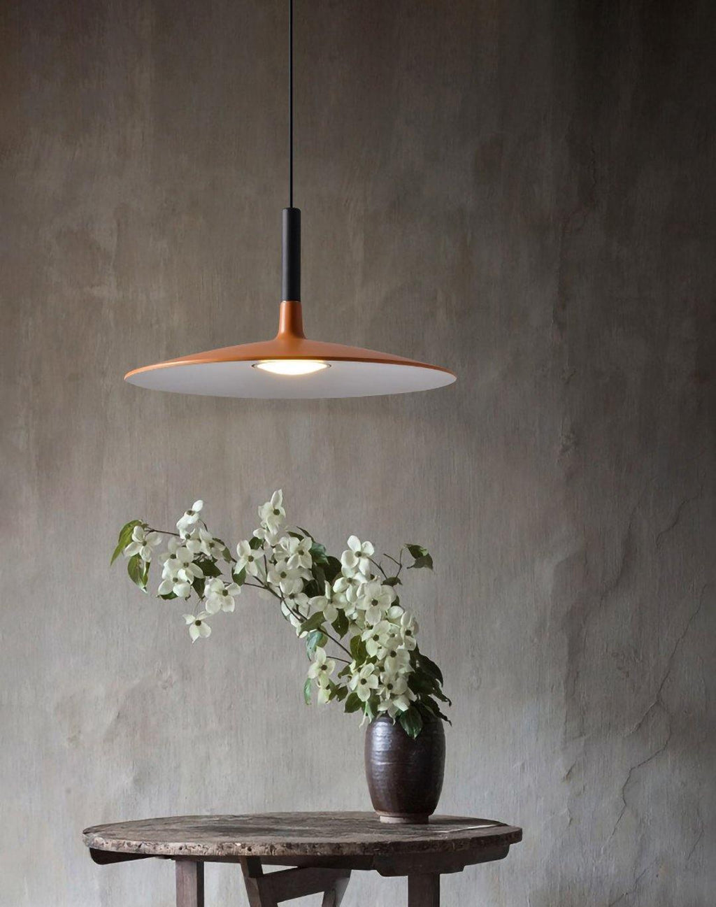 Aibaole metal Pendant Light