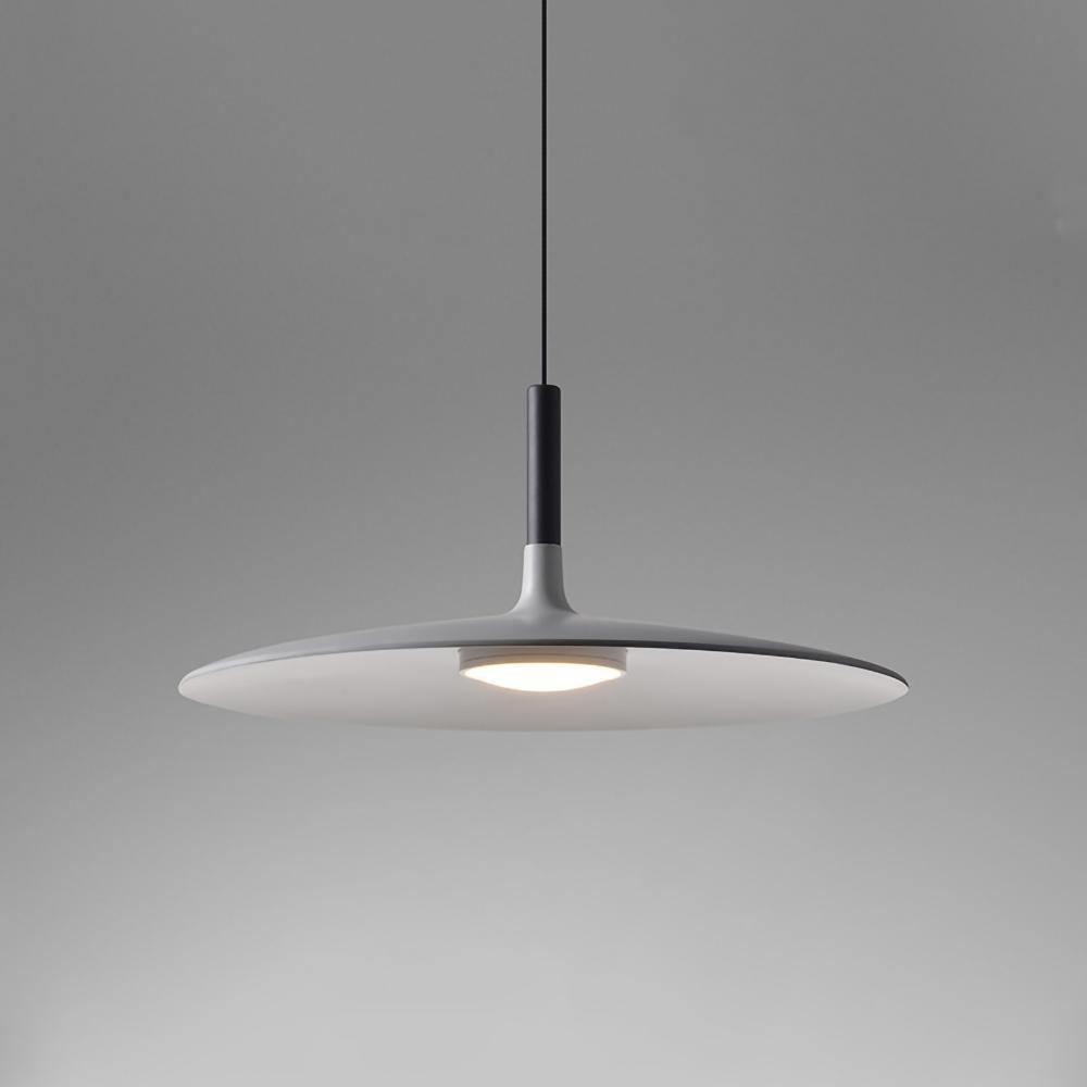 Aibaole metal Pendant Light - ZozHome