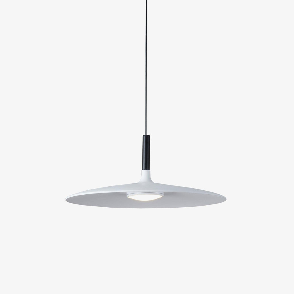 Aibaole metal Pendant Light