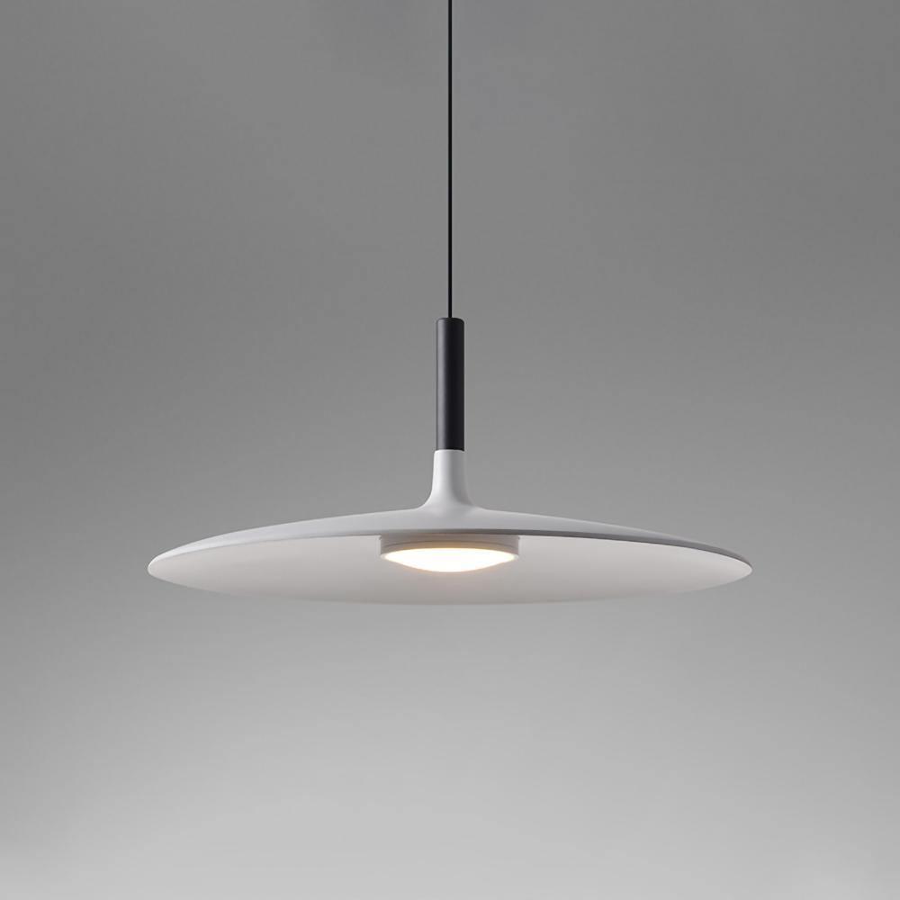 Aibaole metal Pendant Light
