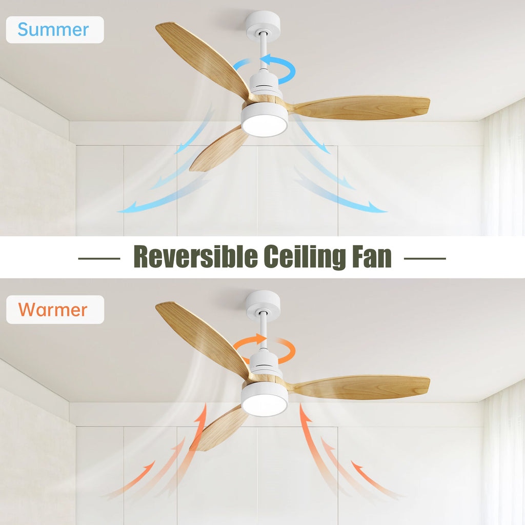 Alpine Breeze Ceiling Fan Light