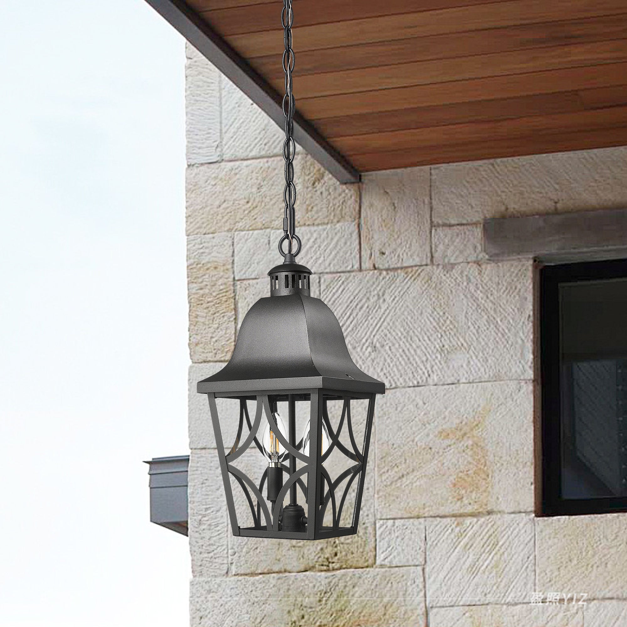 Black Elegance Outdoor Pendant Light