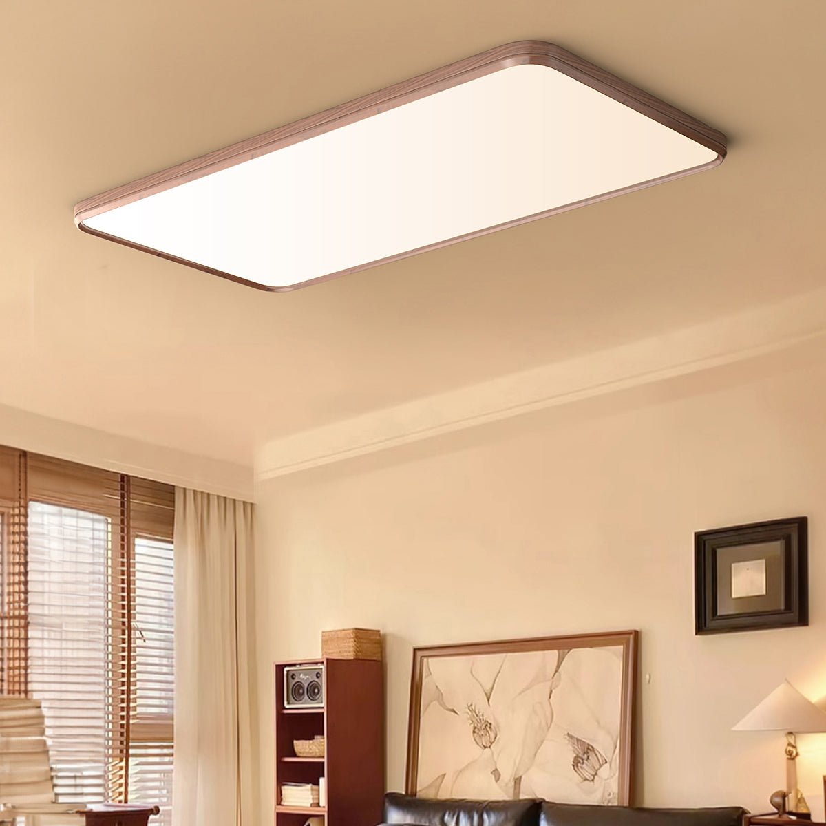 Elara Minimalist Modern Ceiling Light - ZozHome