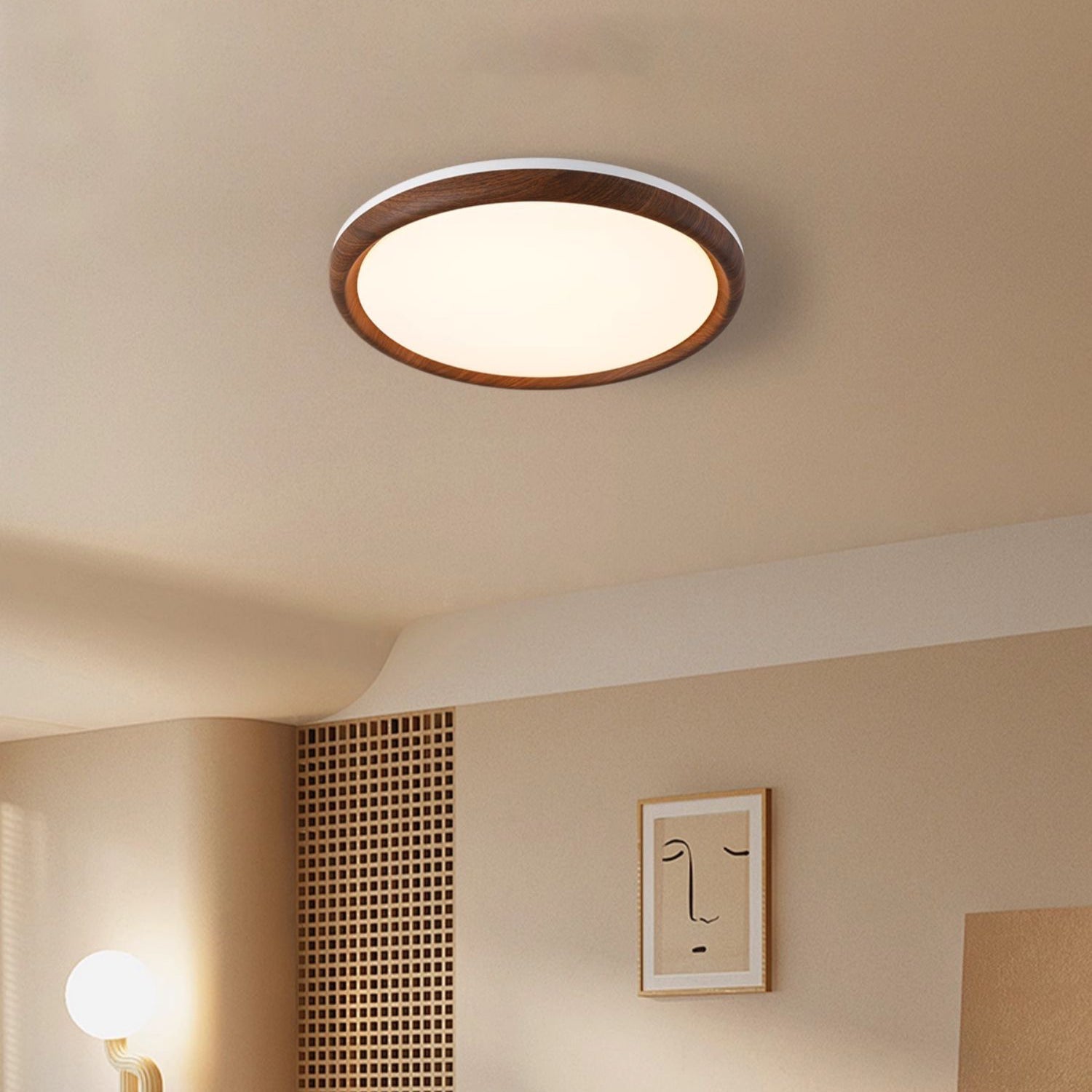 Elegant Ceiling Light