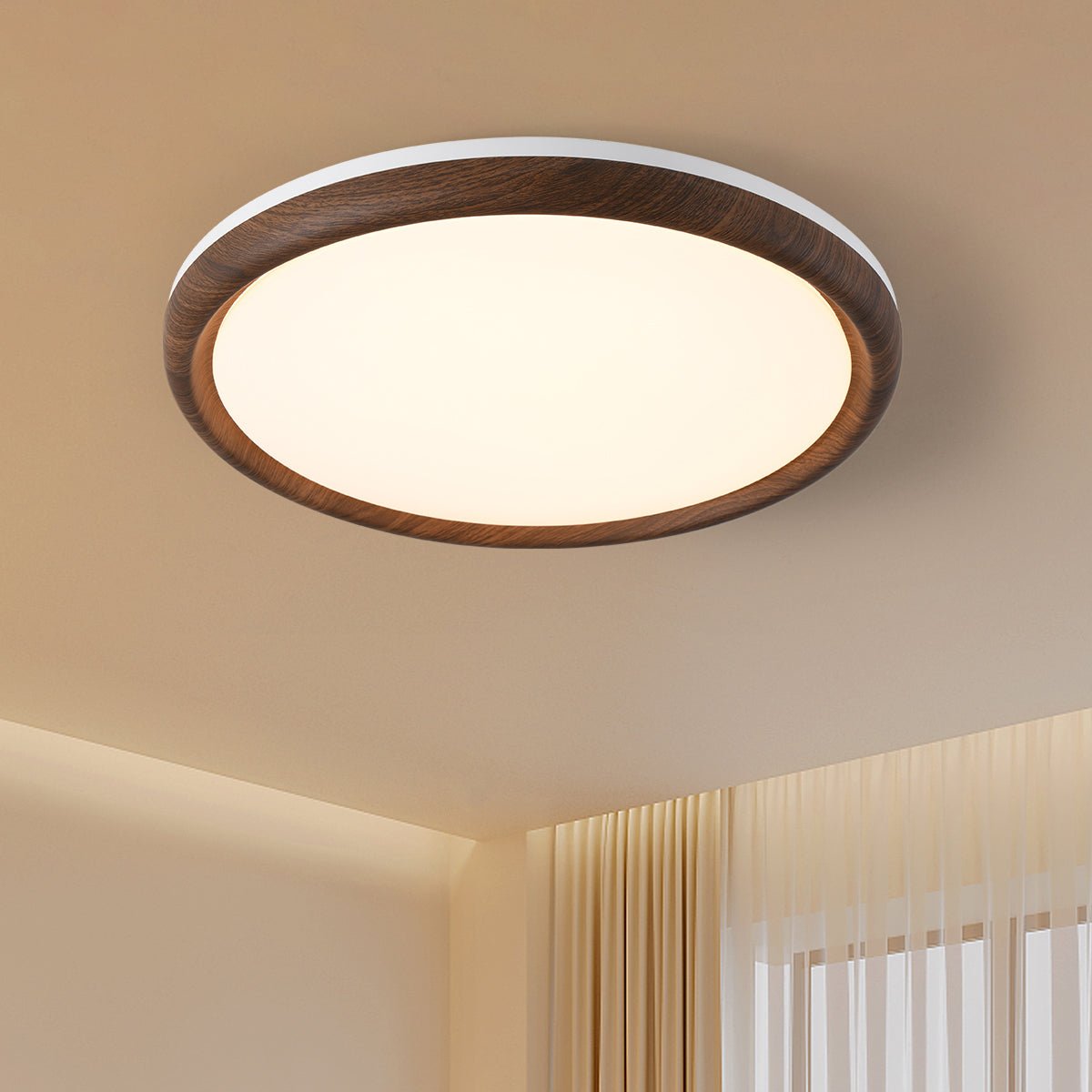 Elegant Ceiling Light