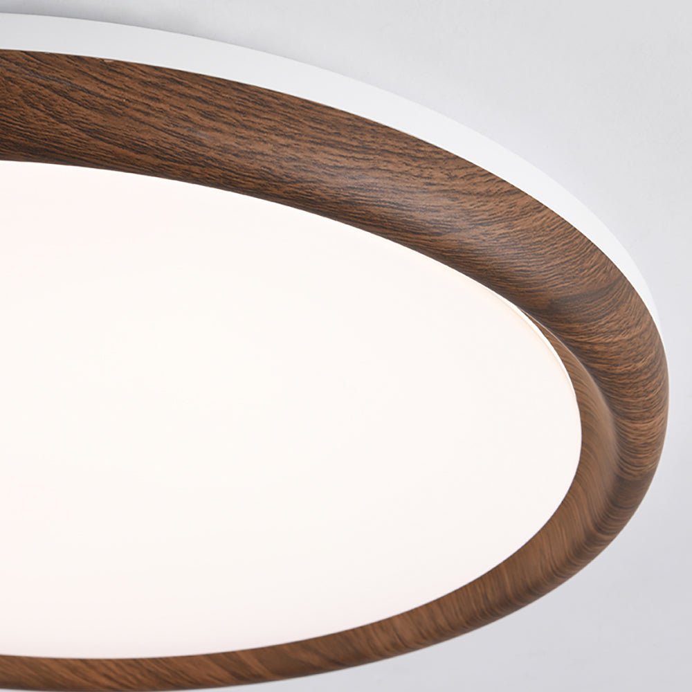 Elegant Ceiling Light