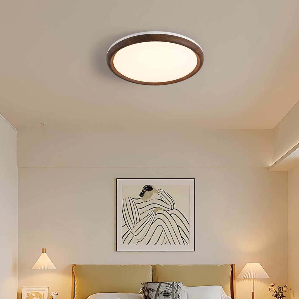 Elegant Ceiling Light