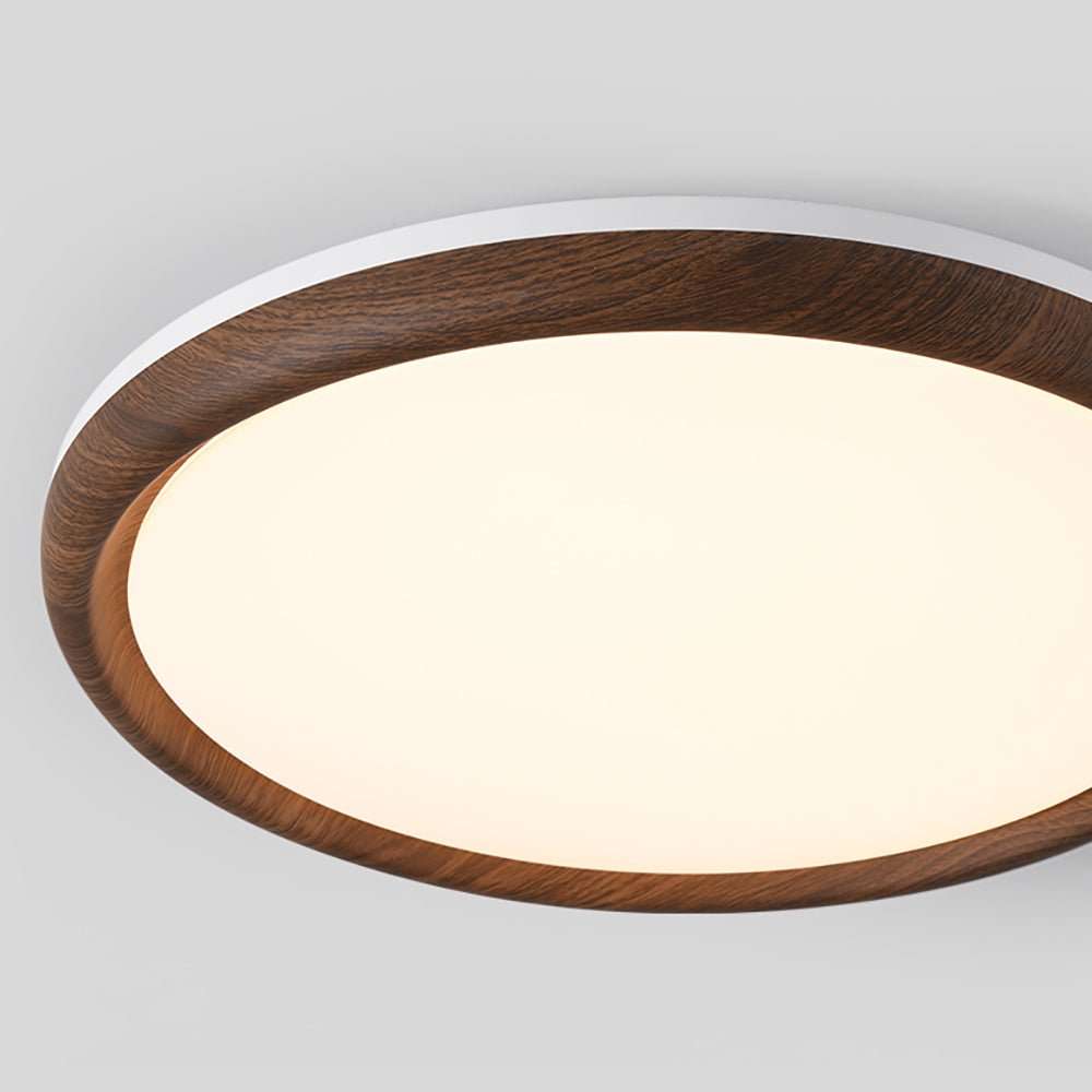 Elegant Ceiling Light