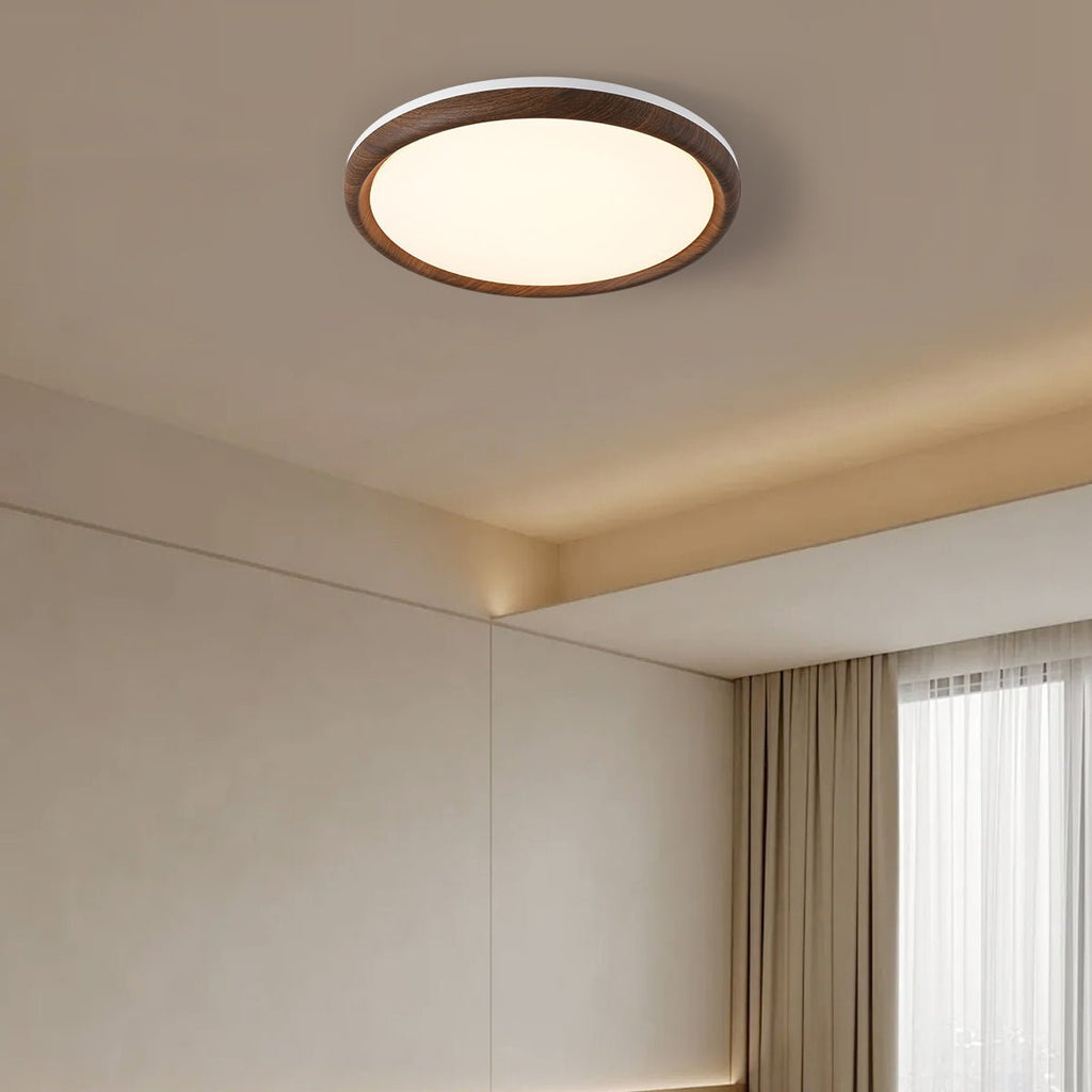 Elegant Ceiling Light