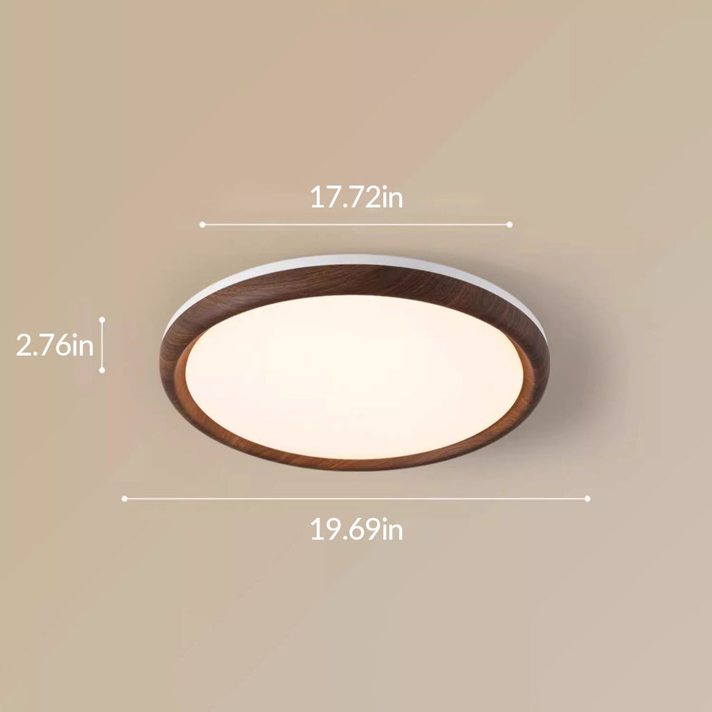 Elegant Ceiling Light