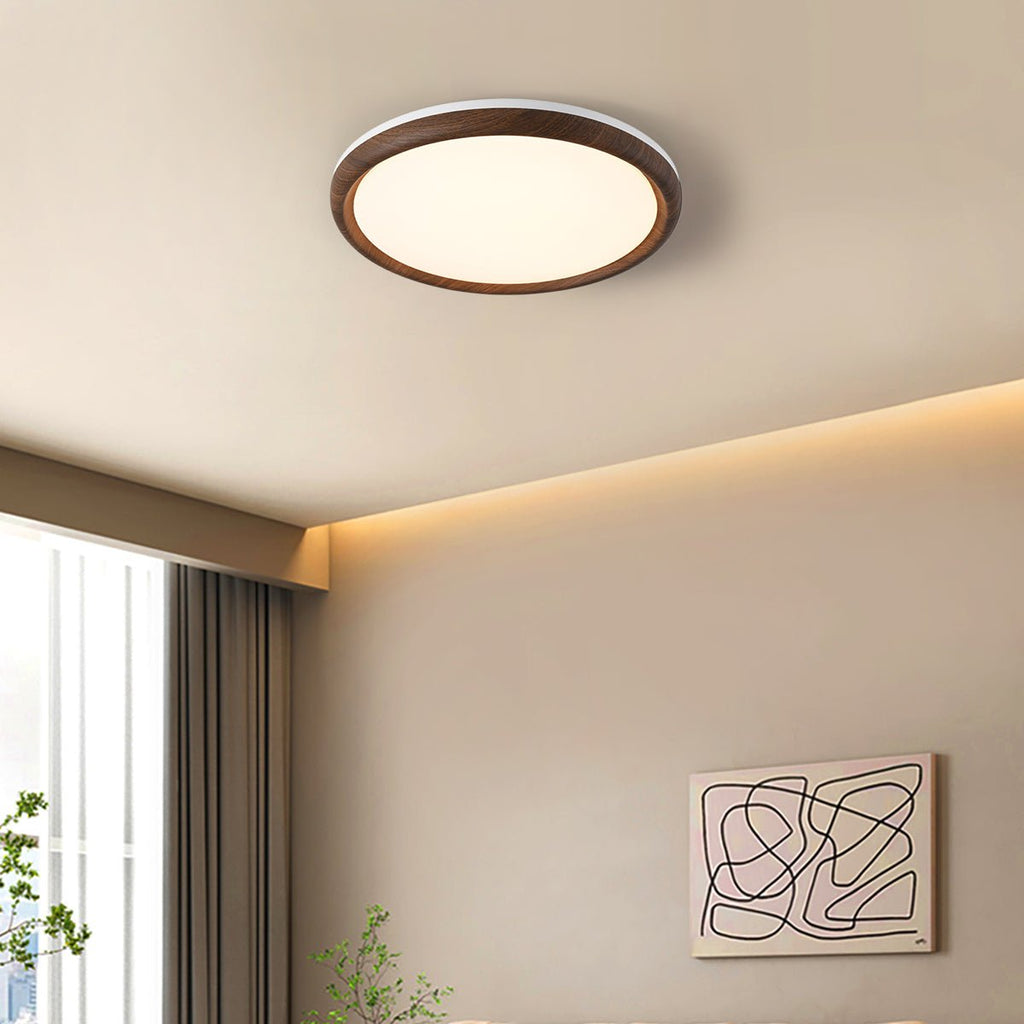 Elegant Ceiling Light
