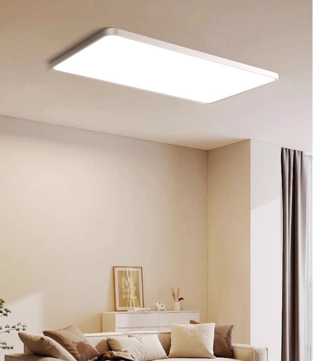 Elysian Ceiling Light