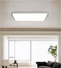 Elysian Ceiling Light - ZozHome