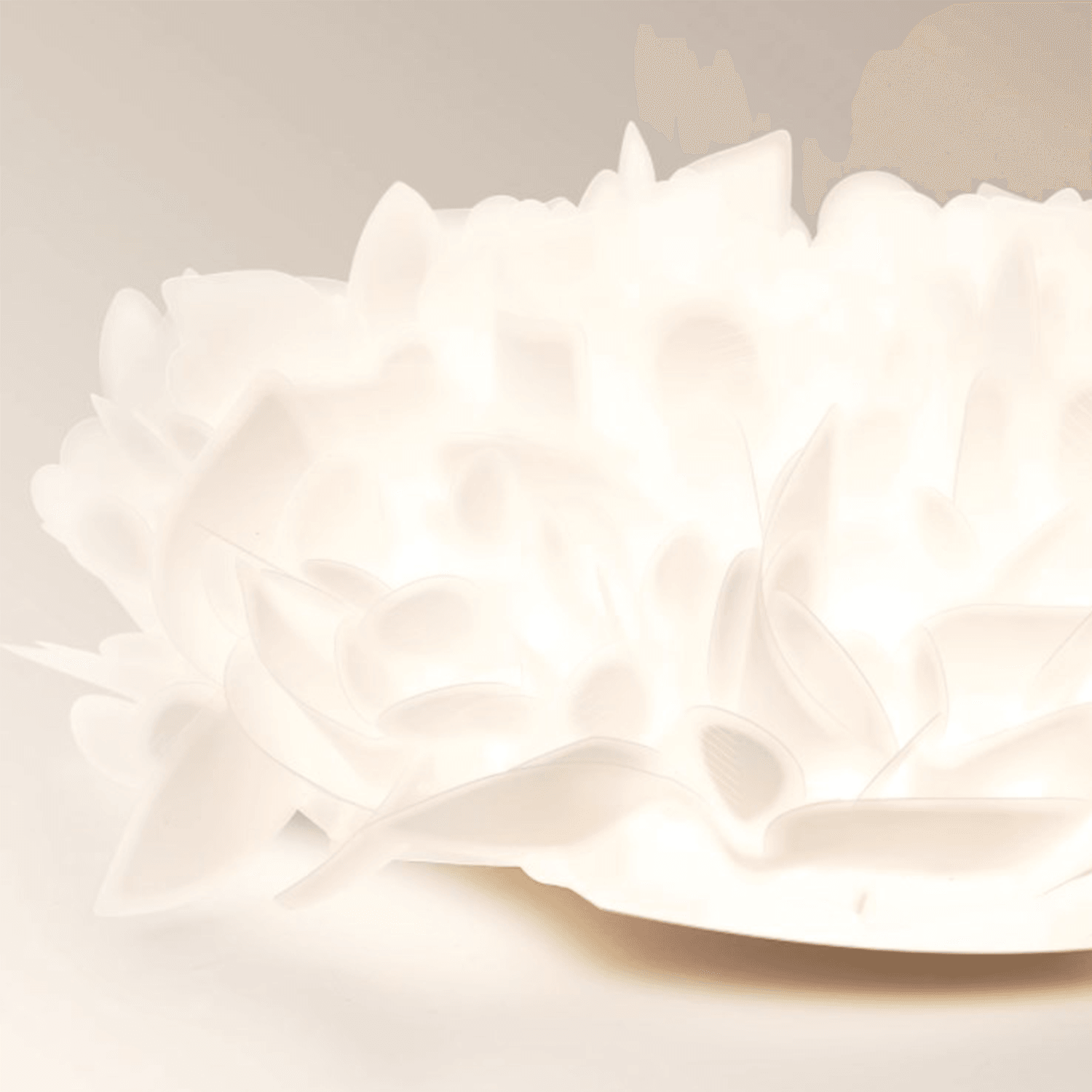 Feather Ceiling Light