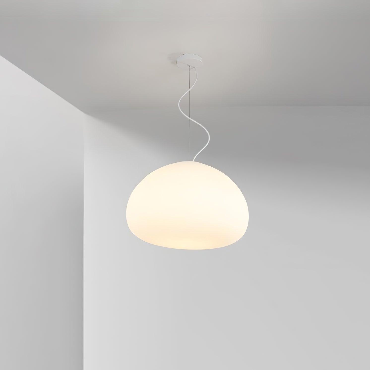 Fluid Pendant Light - ZozHome