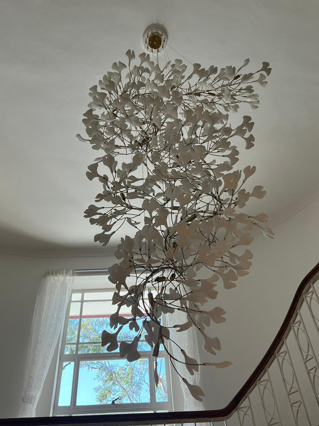 Ginkgo Chandelier F