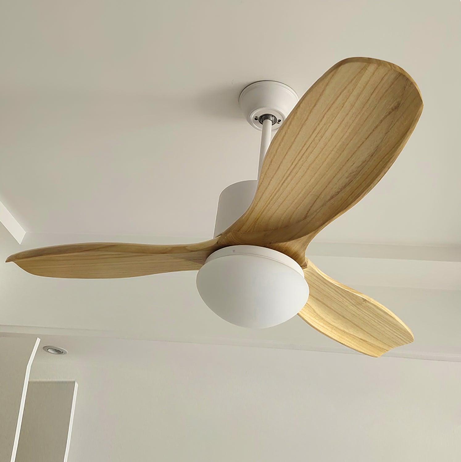 Harborough 3 Ceiling Fan Light