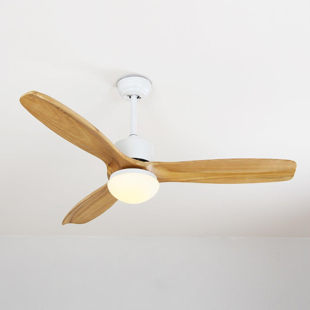 Harborough 3 Ceiling Fan Light - ZozHome