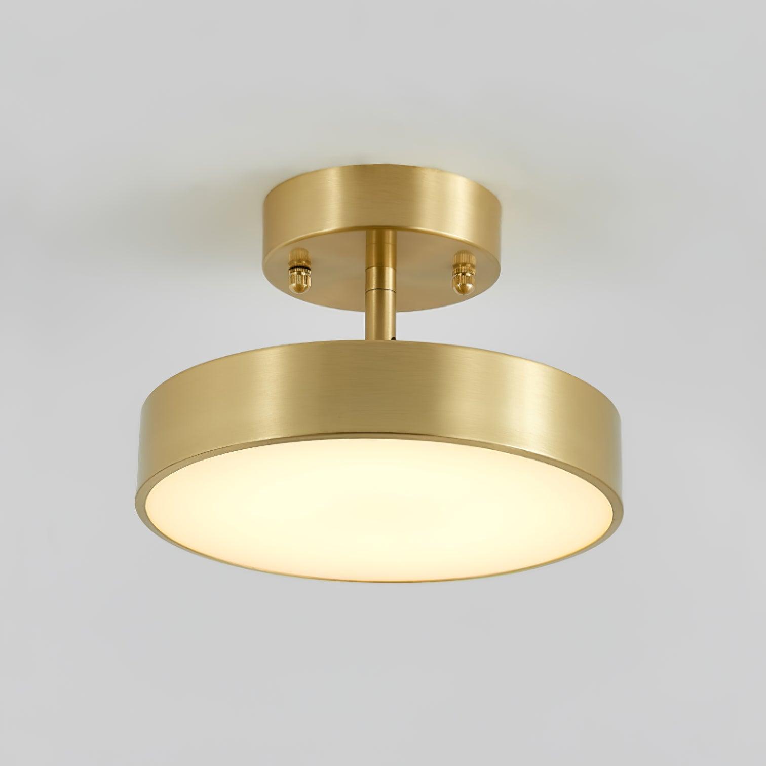 Hero Rotating Ceiling Lamp - ZozHome