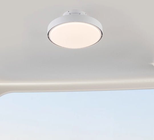 Leafless Fan Light