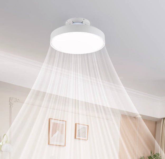 Leafless Fan Light - ZozHome