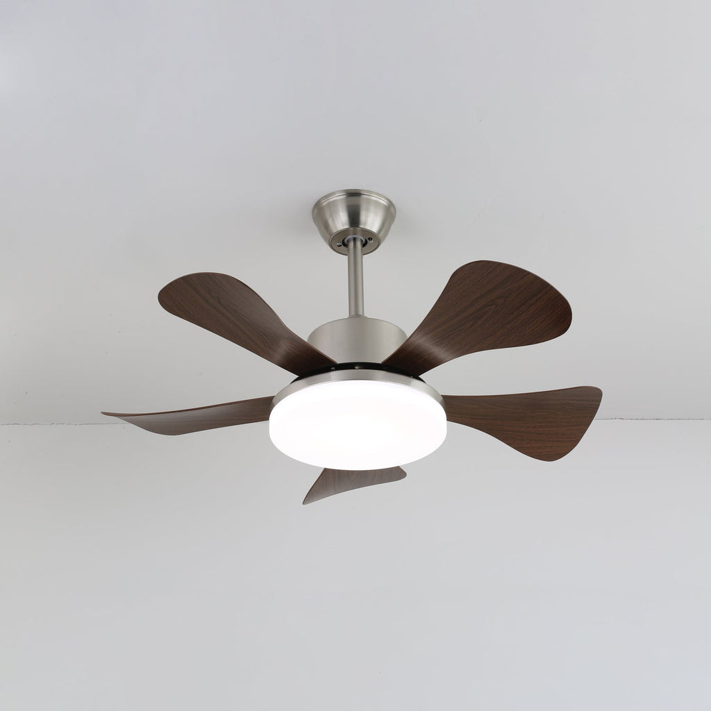 Lena Ceiling Fan Light