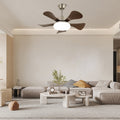 Lena Ceiling Fan Light - ZozHome
