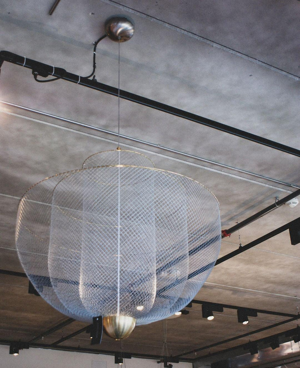 Liy Hanging Pendant lamp