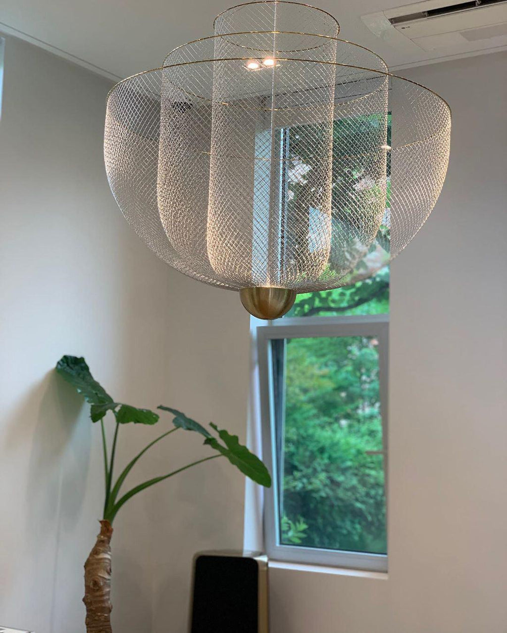 Liy Hanging Pendant lamp