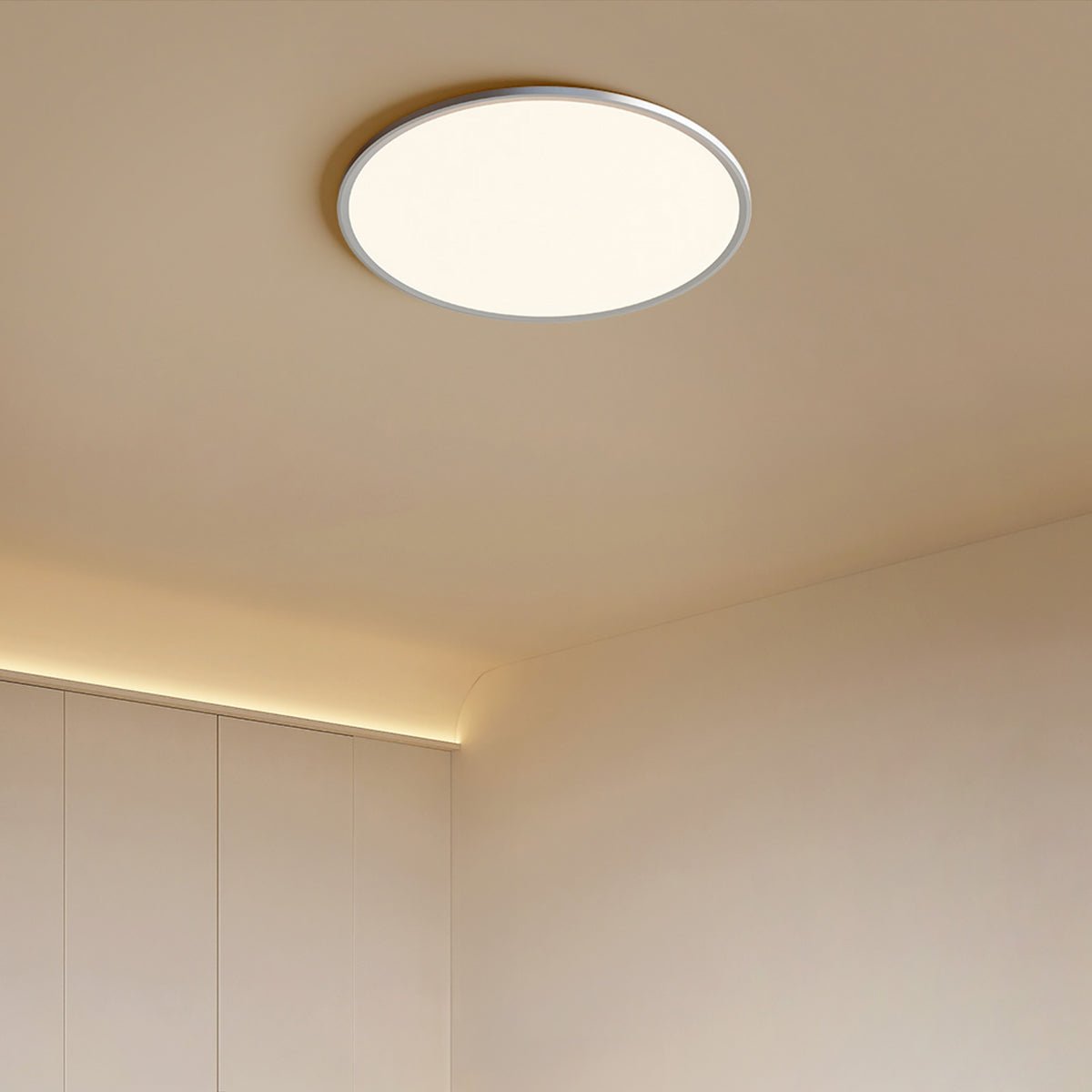 Minimalist Ceiling Light