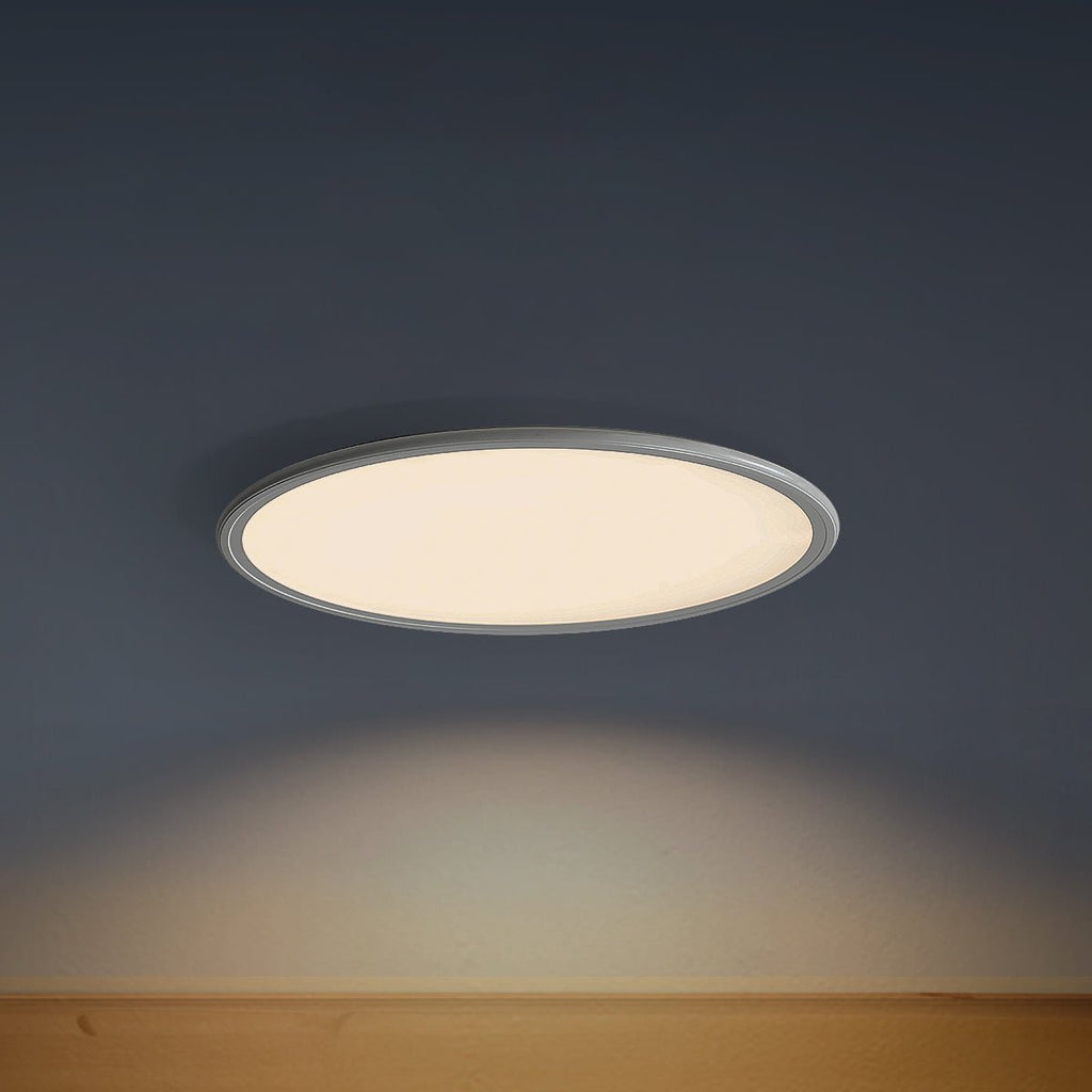 Minimalist LED Ceiling Light