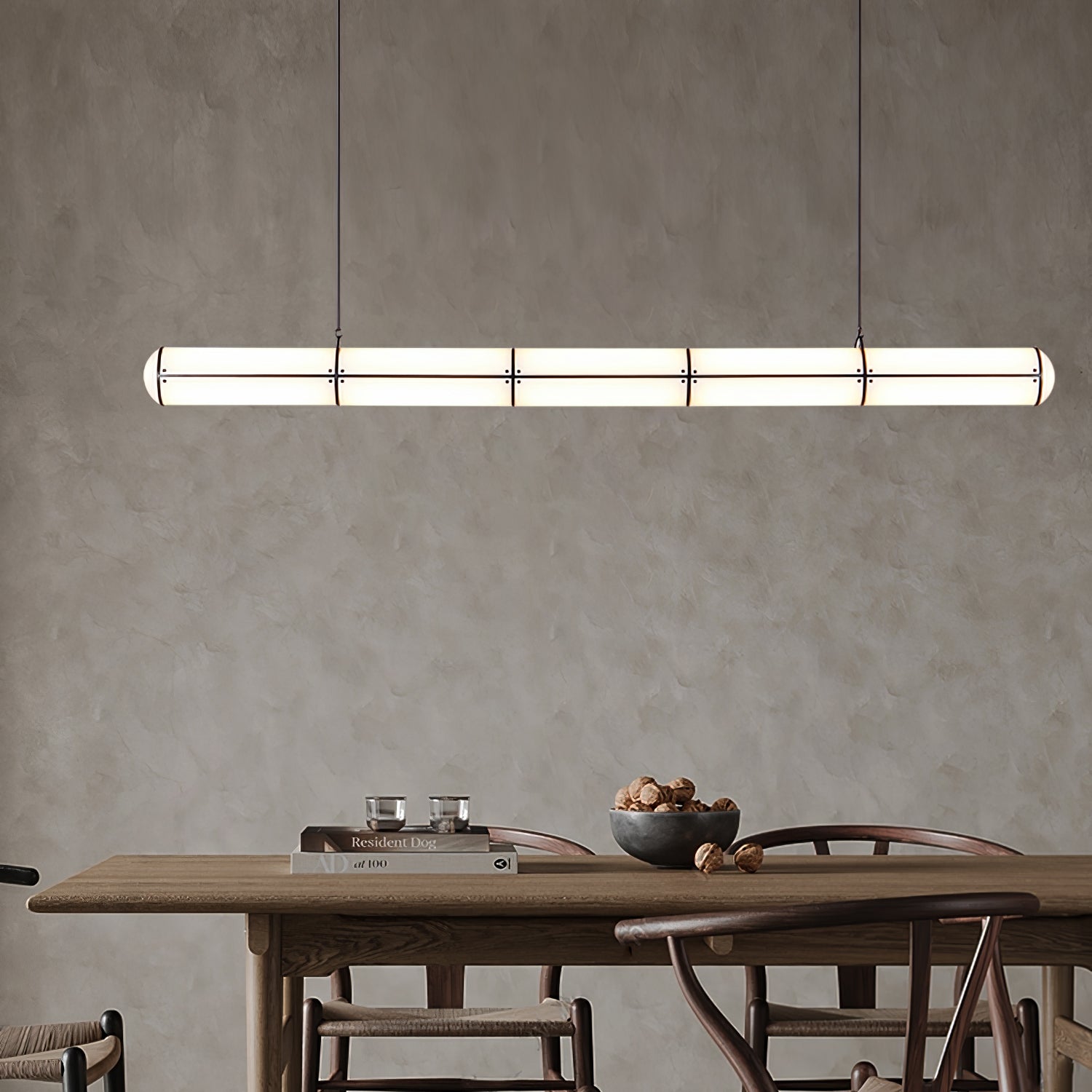 Modern and Simple Pendant Light