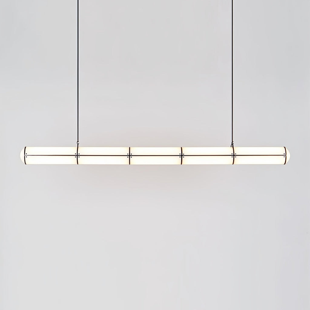 Modern and Simple Pendant Light