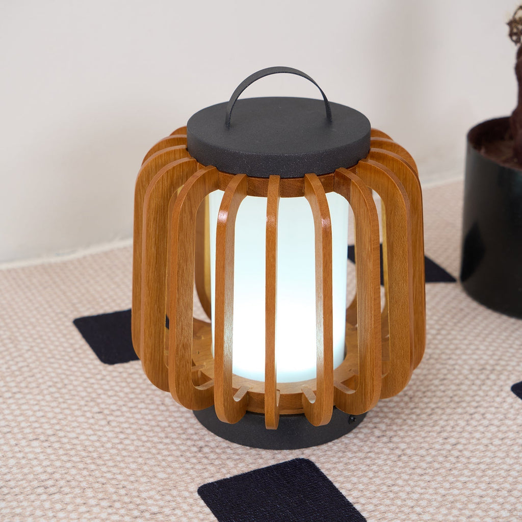 Portable Outdoor Lantern Light